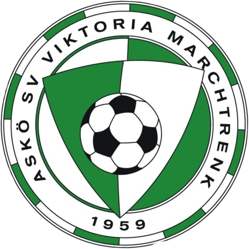 viki Logo2